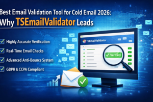 TSEmailValidator dashboard verifying cold email list accuracy and reducing bounce rates